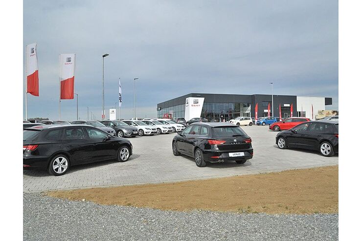 Neuzulassungen Juni Flotte Flau Privat Mau Firmenauto